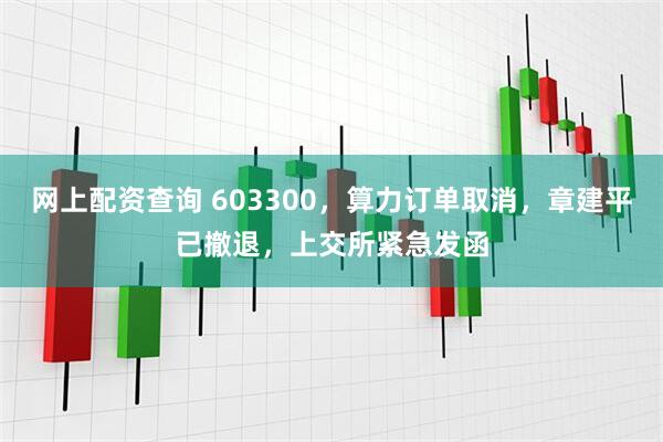 网上配资查询 603300,算力订单取消,章建平已撤退,上交所紧急发函