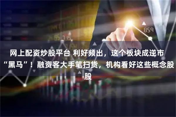 网上配资炒股平台 利好频出，这个板块成逆市 “黑马”！融资客大手笔扫货，机构看好这些概念股