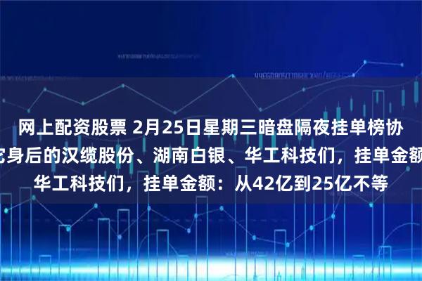 网上配资股票 2月25日星期三暗盘隔夜挂单榜协鑫依旧最热第一名：它身后的汉缆股份、湖南白银、华工科技们，挂单金额：从42亿到25亿不等