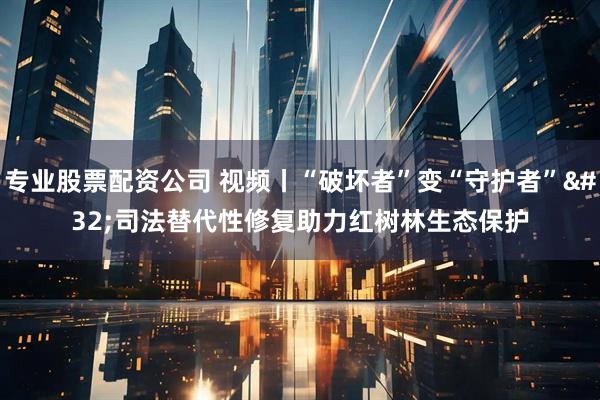 专业股票配资公司 视频丨“破坏者”变“守护者” 司法替代性修复助力红树林生态保护